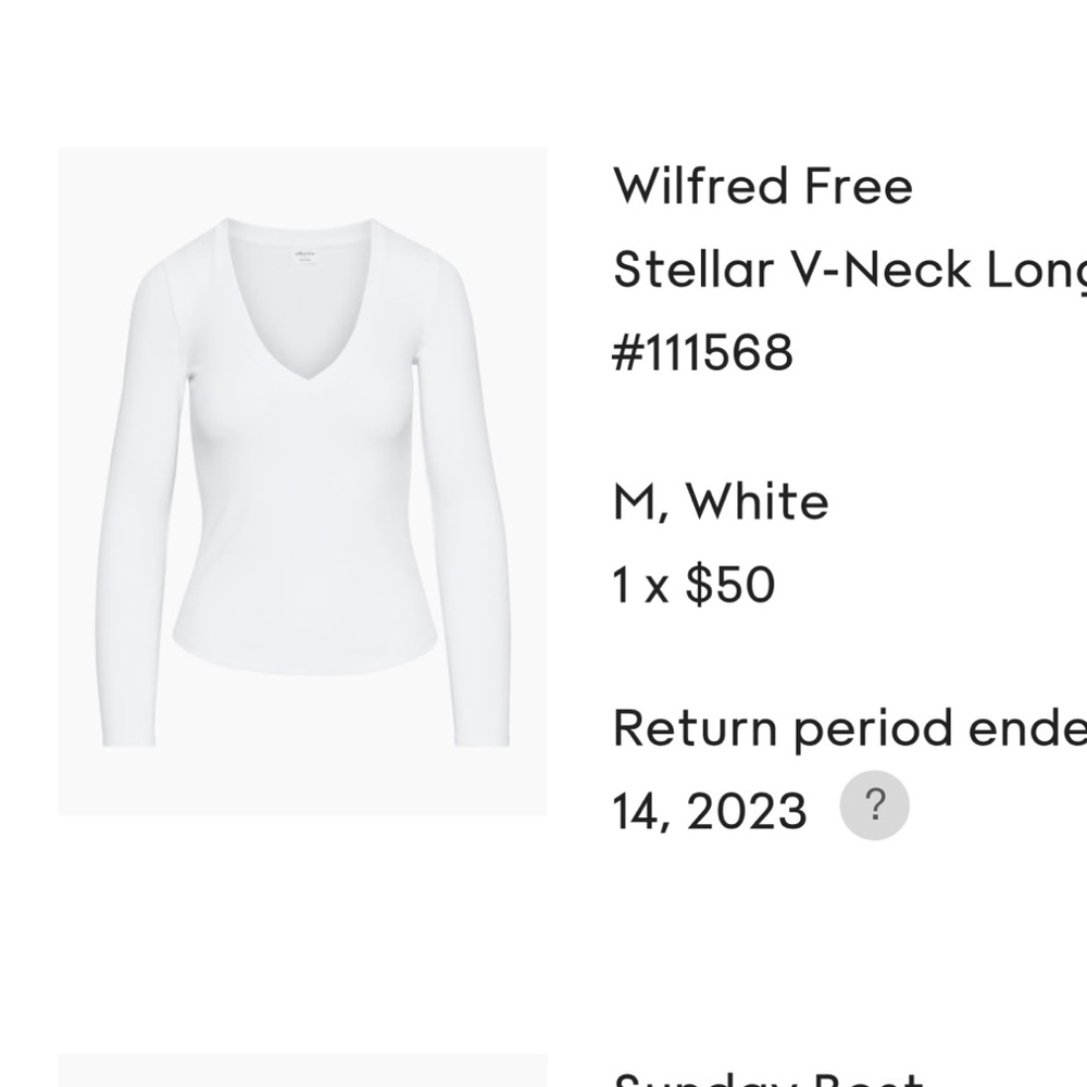 NWT Wilfred V-neck Longsleeve